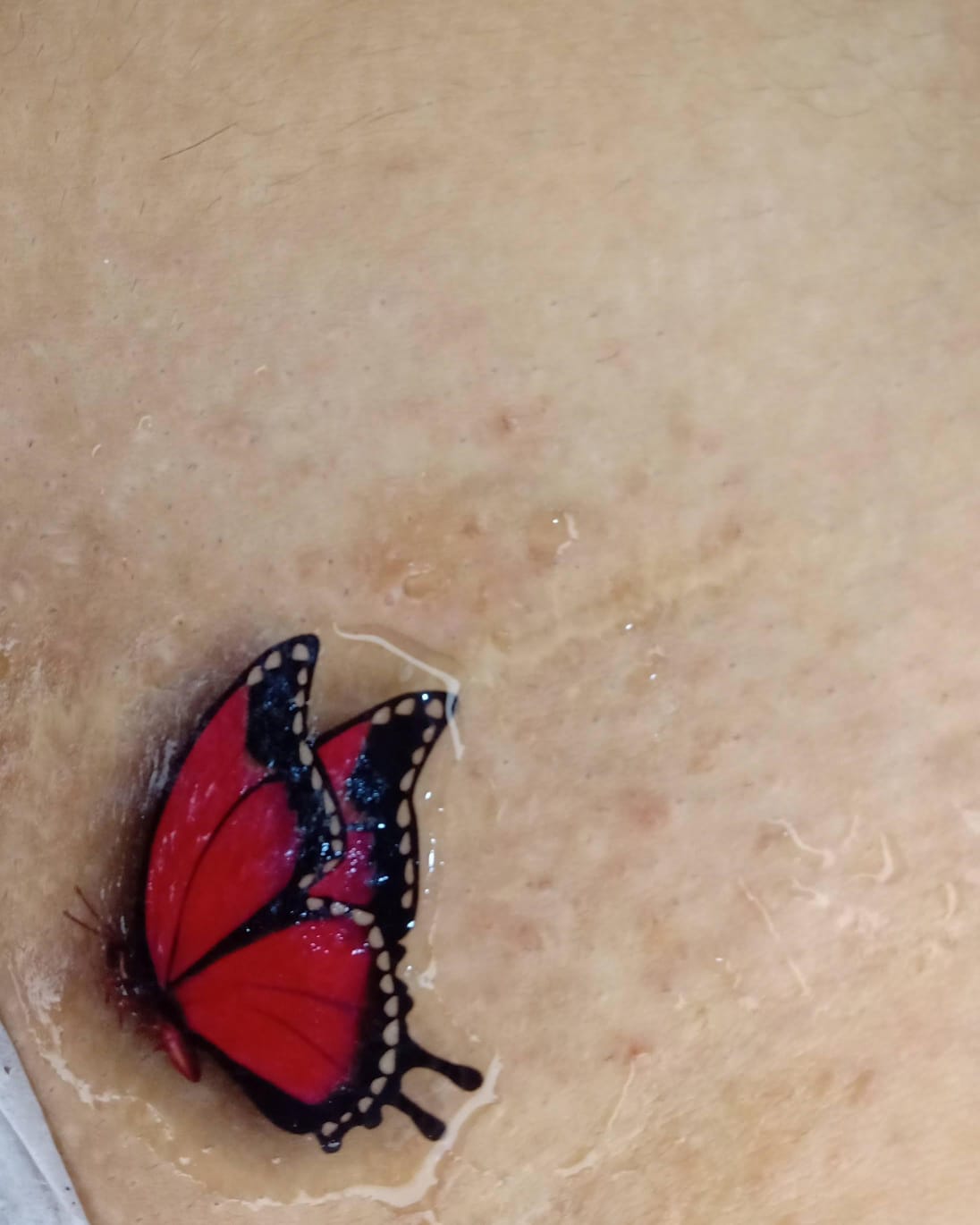 Mimo delicado borboleta na pele pós-epilação
